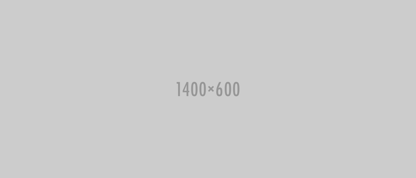 success-1400-600